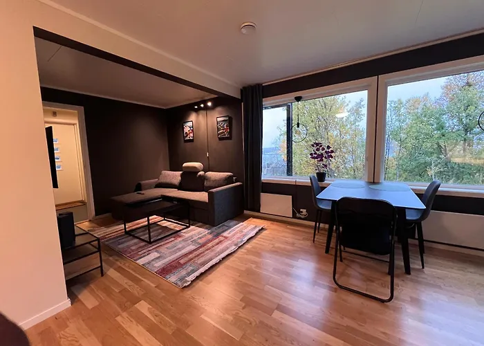 Modern Arctic Residence