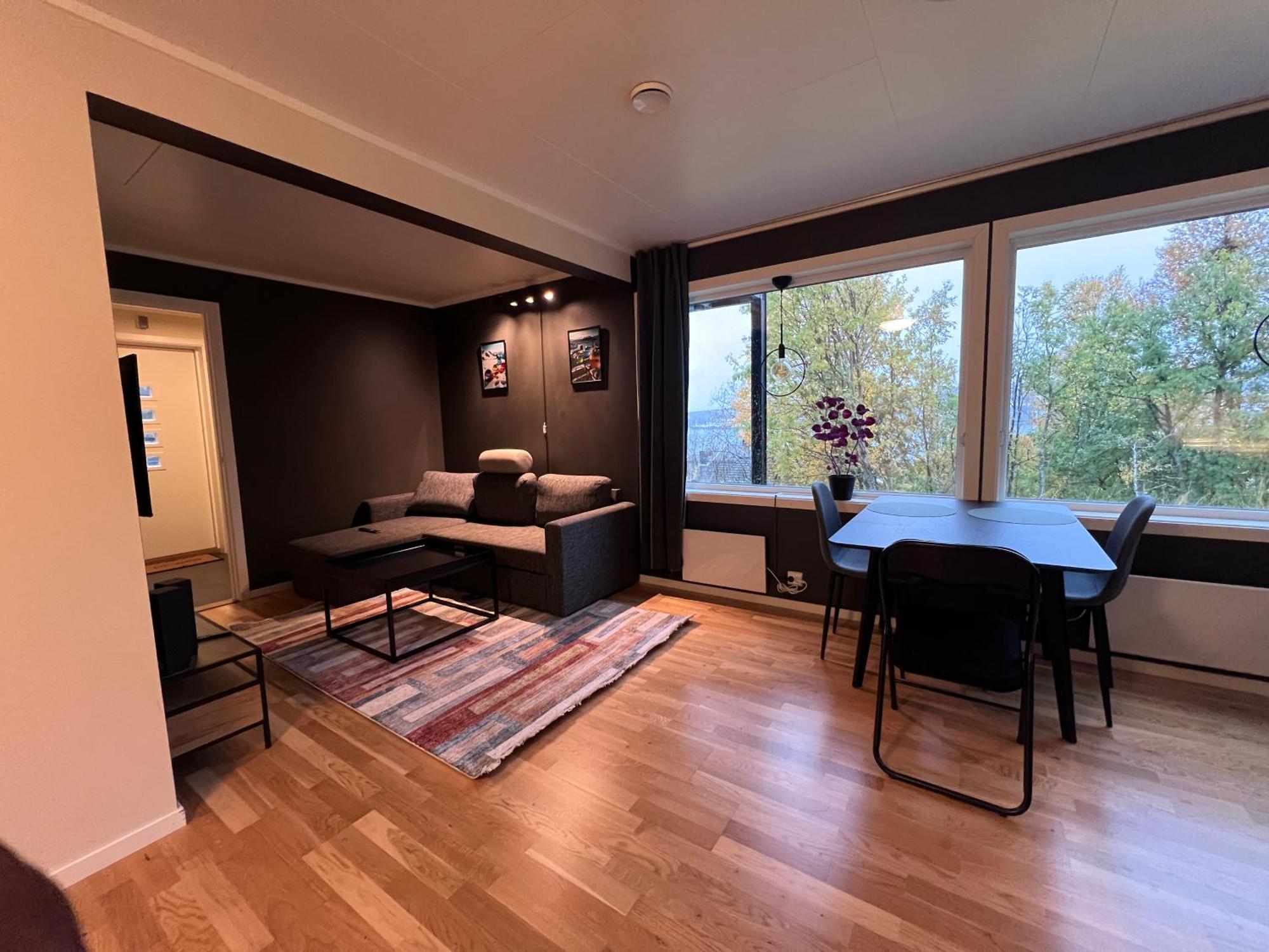 Modern Arctic Apartment *